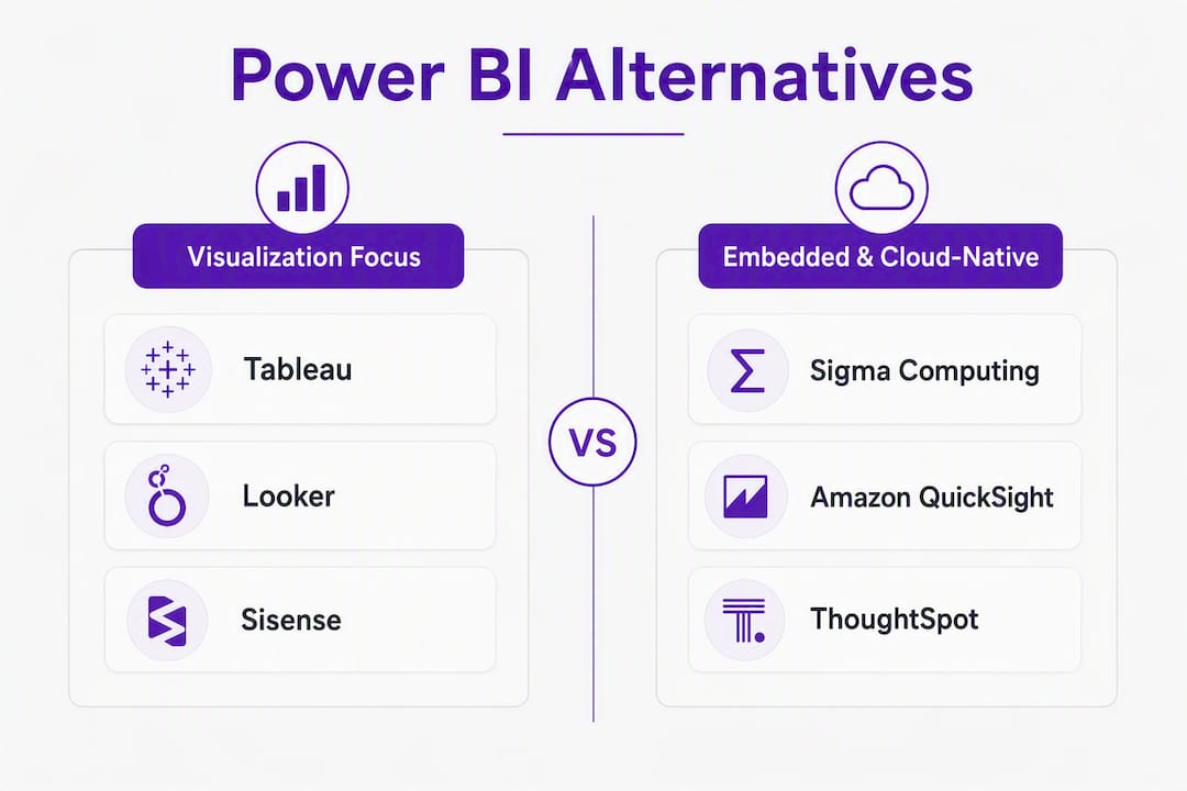 Infographic comparing Power BI alternatives categories