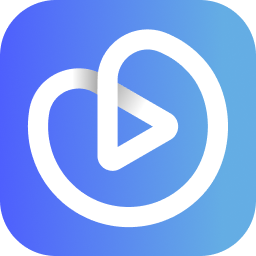 Vidzflow — official logo